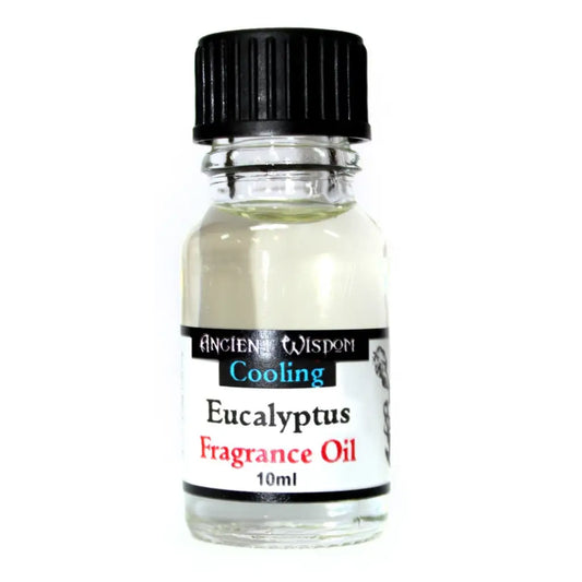 Óleos de fragrâncias de 10 ml - Eucalipto 60x24 (mm)